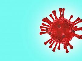 1.538 nuevos casos de coronavirus y 11 personas fallecidas por covid en Asturias