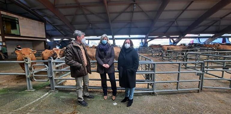 El Mercado de Ganado de Pola de Siero se ha mantenido como el principal comercializador de ganado del norte