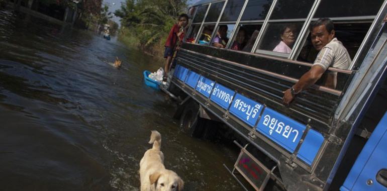 El Planeta requiere acciones, no informes