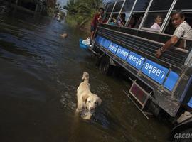 El Planeta requiere acciones, no informes