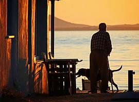 Discapacidad motora: los ancianos con perro la sufren mucho menos