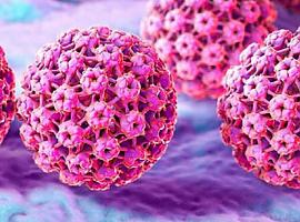 El Virus del Papiloma Humano (VPH) es el causante de 1 de cada 20 casos de cáncer en humanos