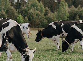 Los agricultores y ganaderos asturianos podrán solicitar conjuntamente el pago único y las ayudas de incorporación a la actividad