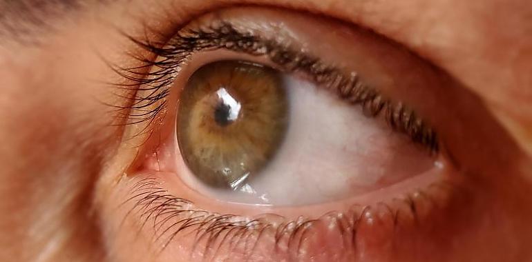 22.000 asturianos padecen Glaucoma y aproximadamente la mitad no lo saben 