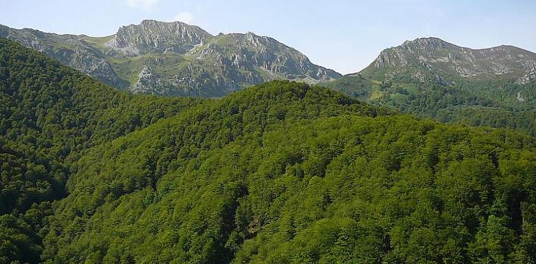 15 rutas para recorrer el patrimonio cultural y natural asturiano