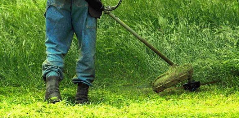 El Ayuntamiento de Gijón/Xixón iniciará mañana lunes los primeros trabajos de desbroce y mantenimiento de las sendas verdes del municipio