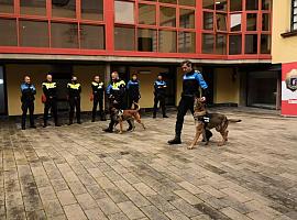 La Unidad Canina de la Policía Local de Gijón/Xixón referente a nivel nacional