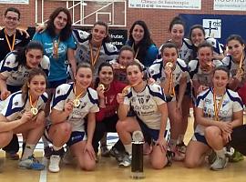 El Lobas Global Atac Oviedo escribió el pasado sábado una brillante página en sus 36 años de historia al conseguir su tercera liga