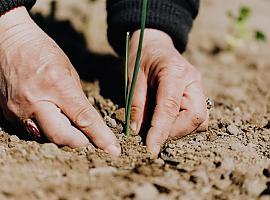 la PAC pone 96 millones a disposición de agricultores y ganaderos asturianos