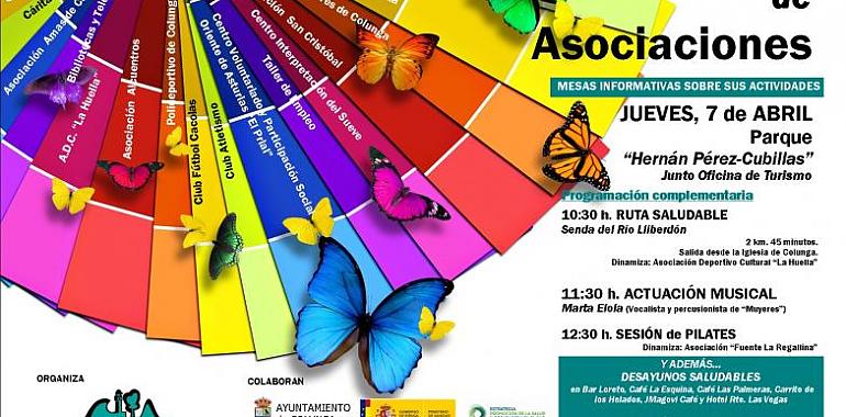 Casi una veintena de colectivos participarán en la II Feria de Asociaciones de Colunga