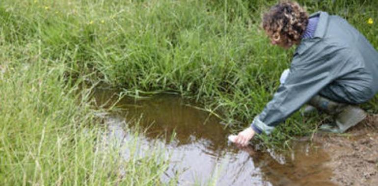 Nuevo sistema para reutilizar con garantías sanitarias lodos procedentes de aguas residuales