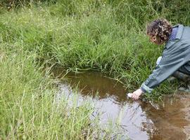 Nuevo sistema para reutilizar con garantías sanitarias lodos procedentes de aguas residuales