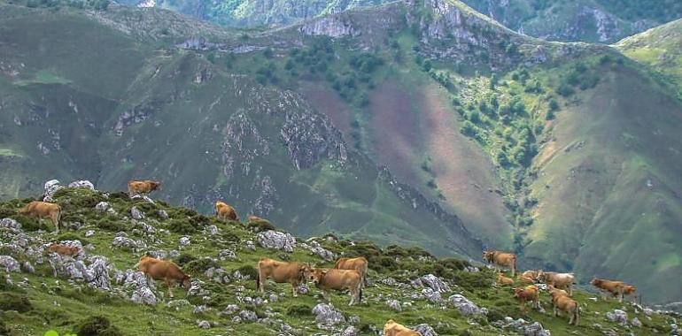 Emergencias rescata esta noche a dos senderistas perdidos en el Pico Turbina (Llanes)