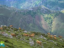 Emergencias rescata esta noche a dos senderistas perdidos en el Pico Turbina (Llanes)