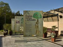 El Jardín Botánico Atlántico de Gijón/Xixón inaugura la exposición “Mágicas, místicas y medicinales. Plantas y hongos psicoactivos”