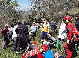 Herida tras sufir un vuelco en su tractor en Amieva en la tarde de ayer