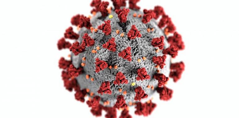 Primeros casos de las nuevas mutaciones de la variante ómicron en Asturias