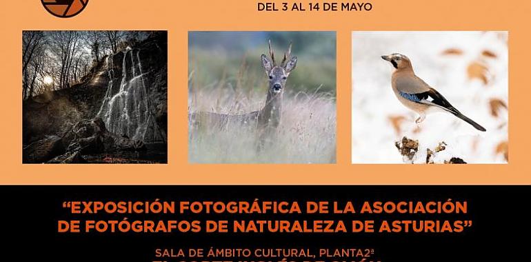 “Asturias, Naturalmente 2022” es la exposición fotográfica sobre la naturaleza asturiana