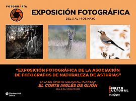 “Asturias, Naturalmente 2022” es la exposición fotográfica sobre la naturaleza asturiana