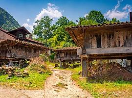 El Parque de la Prehistoria de Teverga pone en marcha un ciclo de actividades sobre el hórreo asturiano