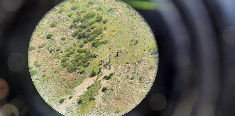 Localizados los restos de un oso pardo en el Parque Natural de las Fuentes del Narcea, Degaña e Ibias