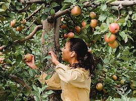 35,9 millones a ayudas para la incorporación de jóvenes a la actividad agraria, la modernización de explotaciones y la prevención de daños por fauna salvaje