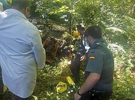 Fallecido al caer con un dumper por un desnivel de 7 metros en Piloña