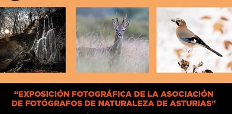 El Corte Inglés de Oviedo acoge la exposición fotográfica sobre la naturaleza en el Principado de Asturias 