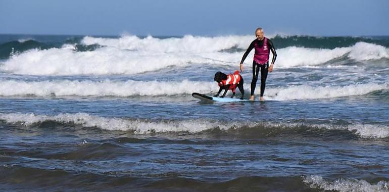 Fin de semana de surf y perros en la playa de Salinas