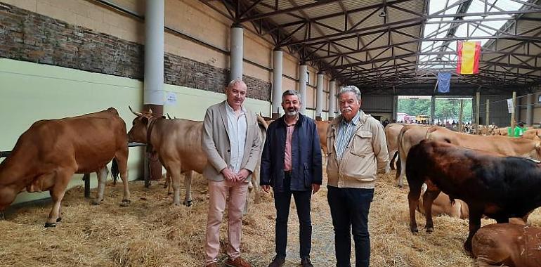 Pola de Allande celebra la feria ganadera de San Antonio