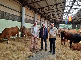 Pola de Allande celebra la feria ganadera de San Antonio