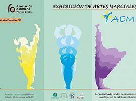 Exhibición de artes marciales a favor de la fibrosis quística en Mieres