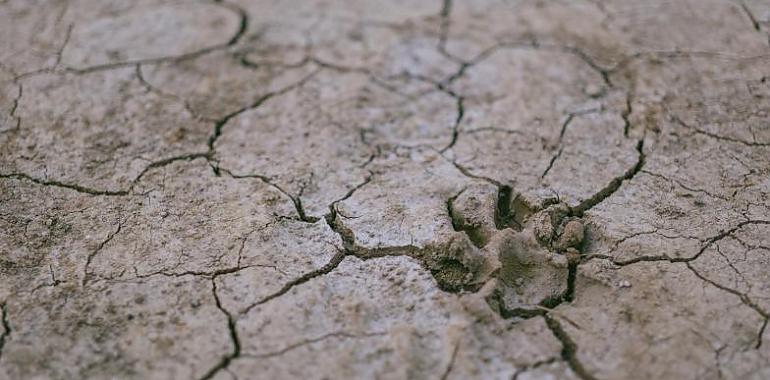 Unos 900.000 agricultores y ganaderos pueden acogerse a la reducción del 20 % de su rendimiento neto por los efectos de la sequía