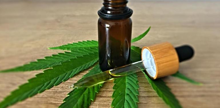 5 Reasons CBD Can Be Your Solution for All Your Problems