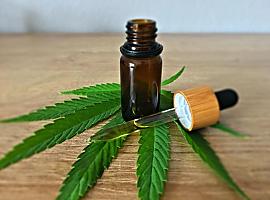 5 Reasons CBD Can Be Your Solution for All Your Problems