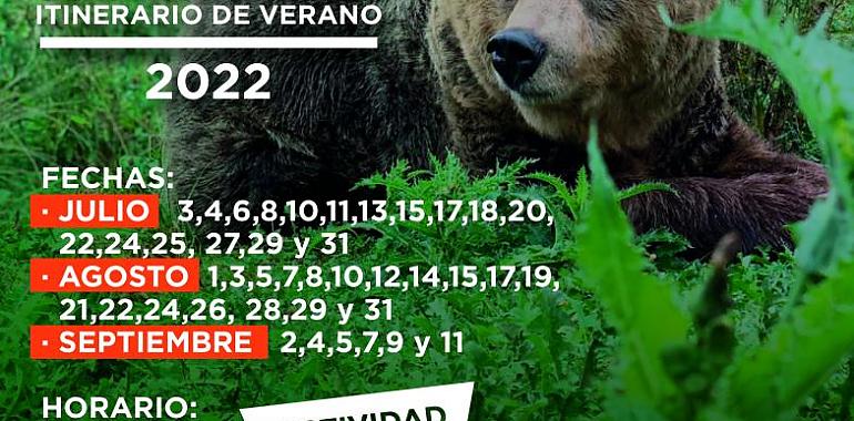 El domingo se inician los itinerarios de verano “Conoce nuestros osos”