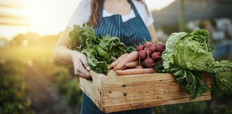 60.000 euros de ayudas públicas para el fomento de la comercialización de alimentos ecológicos  