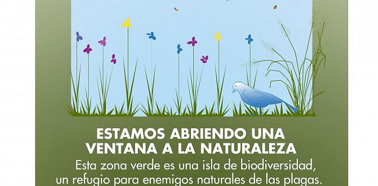 Se inicia en Gijón una experiencia piloto de reducción de siega para favorecer la biodiversidad