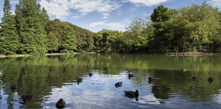 Visitas guiadas al parque de Isabel la Católica y los ríos Piles y Peñafrancia propiciadas por el Ayuntamiento de Gijón