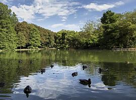 Visitas guiadas al parque de Isabel la Católica y los ríos Piles y Peñafrancia propiciadas por el Ayuntamiento de Gijón