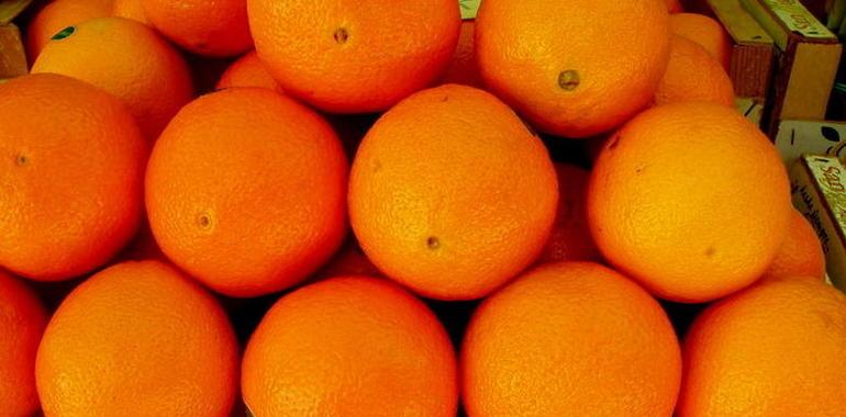 Orujo de uva y cáscara de naranja para producir bioetanol