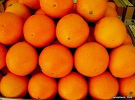 Orujo de uva y cáscara de naranja para producir bioetanol