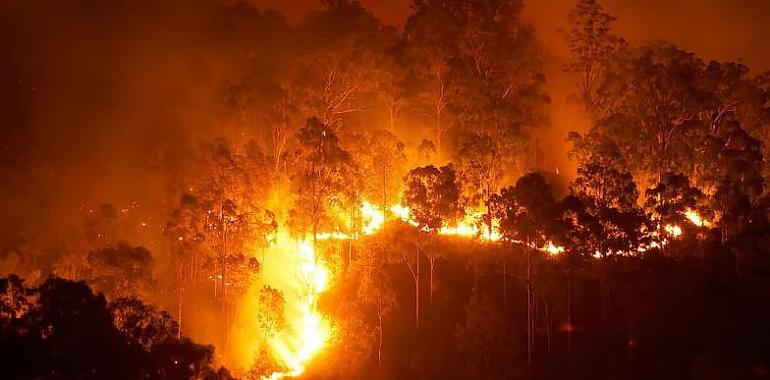 En estos momentos se contabilizan en Asturias 8 incendios forestales
