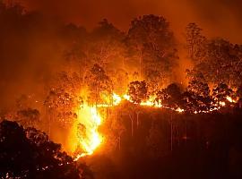 En estos momentos se contabilizan en Asturias 8 incendios forestales