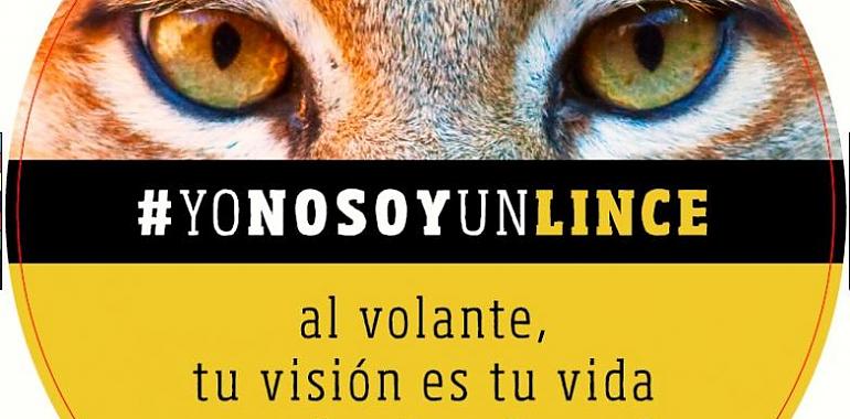 23 ópticas asturianas ofrecen sus servicios profesionales para reducir la tasa de siniestralidad en la carretera