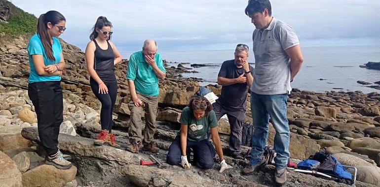 Se recupera una huella de un terópodo y otra de un estegosaurio en los acantilados de Llastres