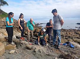 Se recupera una huella de un terópodo y otra de un estegosaurio en los acantilados de Llastres