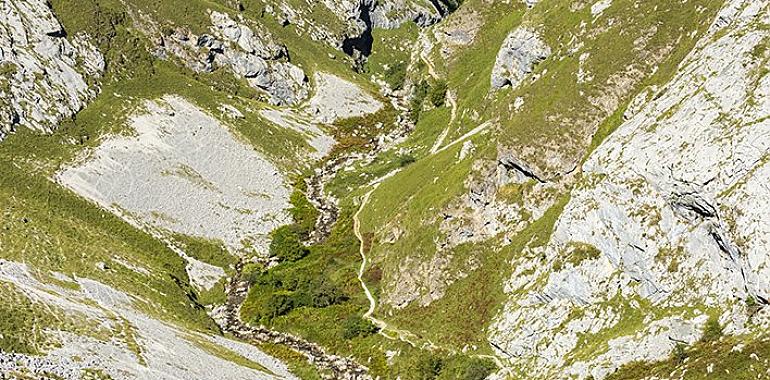 Rescatado el cuerpo sin vida de un hombre que se precipitó por un barranco de 80 metros en Cabrales