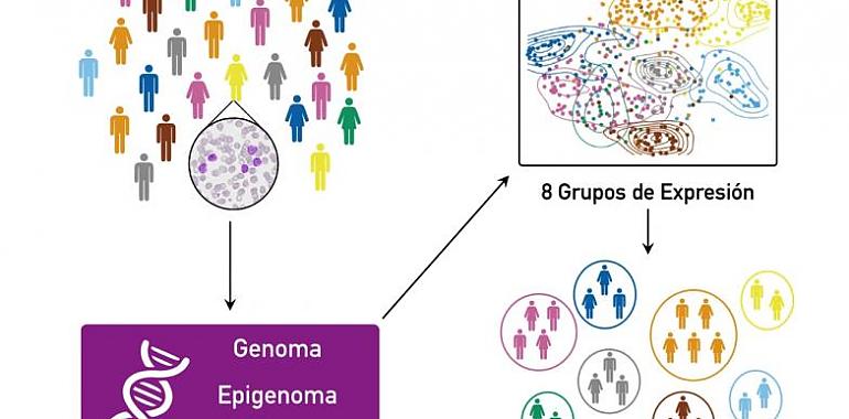 Completado el mapa genómico de la leucemia linfática crónica