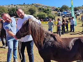 Barbón reafirma el compromiso de Asturias con los criadores de asturcón